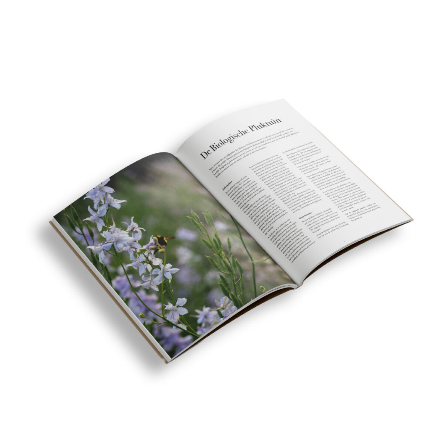 Ludiek_open_Mockup